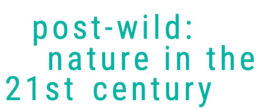 Post-Wild Exhibition Santa Maria